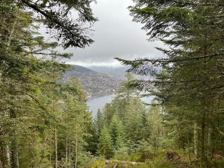 Chalet 3 Etoiles A Gerardmer. Luaran gambar