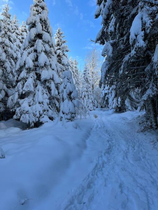 Chalet 3 Etoiles A Gerardmer. Luaran gambar