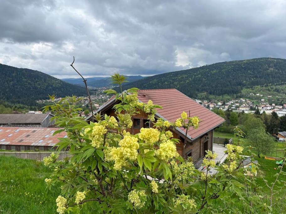 Chalet 3 Etoiles A Gerardmer. Luaran gambar