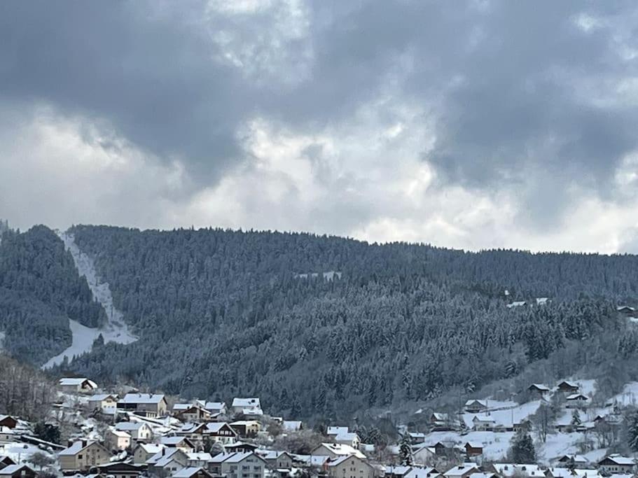 Chalet 3 Etoiles A Gerardmer. Luaran gambar