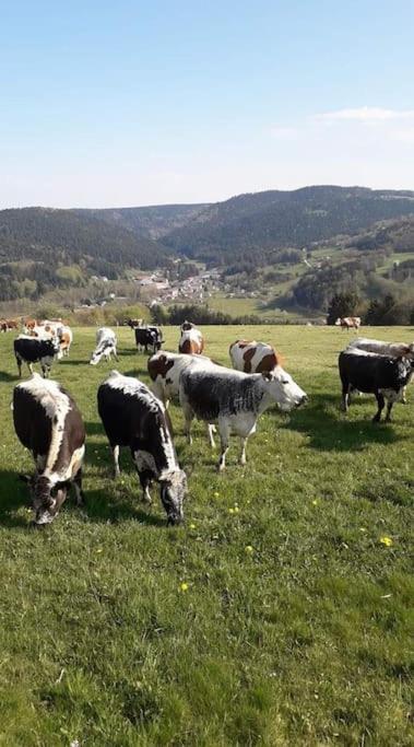 Chalet 3 Etoiles A Gerardmer. Luaran gambar