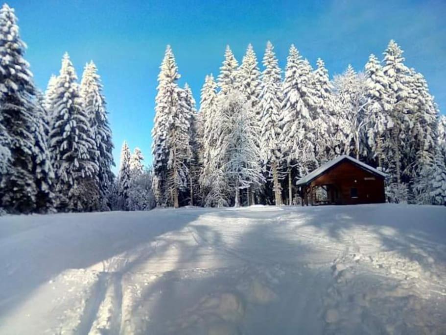 Chalet 3 Etoiles A Gerardmer. Luaran gambar