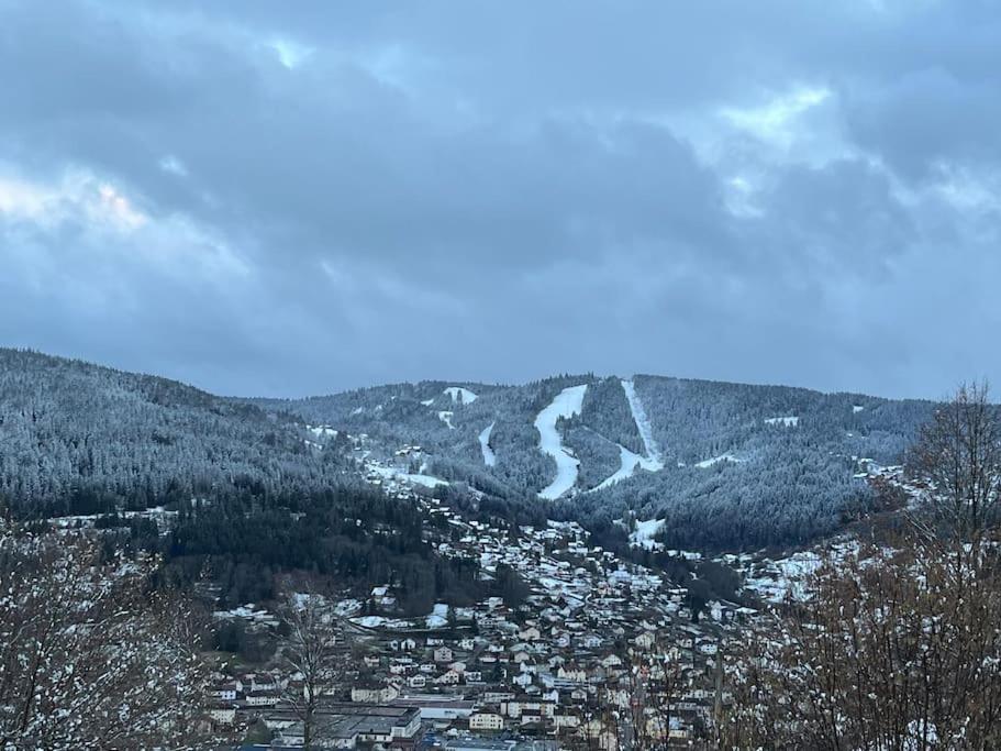 Chalet 3 Etoiles A Gerardmer. Luaran gambar