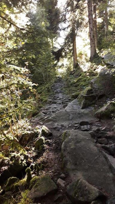 Chalet 3 Etoiles A Gerardmer. Luaran gambar