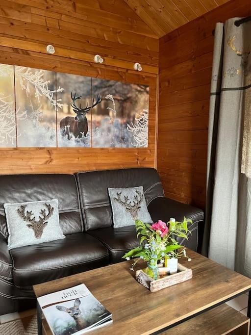 Chalet 3 Etoiles A Gerardmer. Luaran gambar