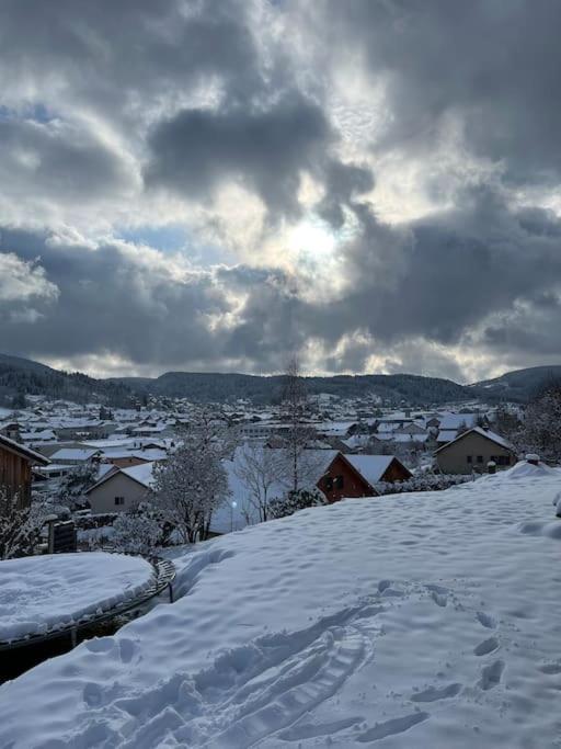 Chalet 3 Etoiles A Gerardmer. Luaran gambar