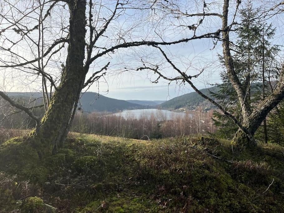 Chalet 3 Etoiles A Gerardmer. Luaran gambar