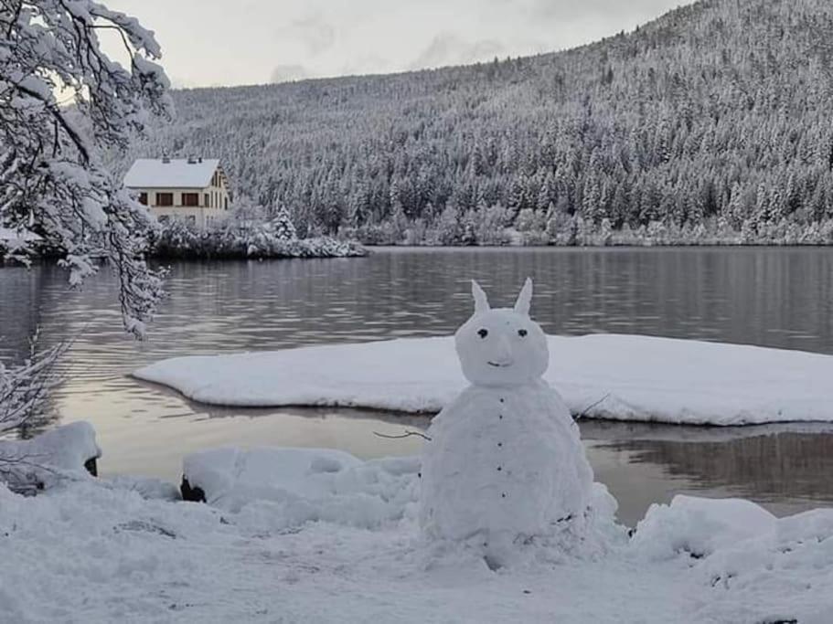 Chalet 3 Etoiles A Gerardmer. Luaran gambar