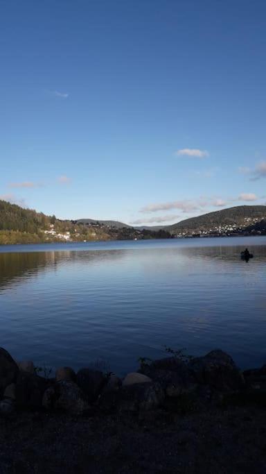 Chalet 3 Etoiles A Gerardmer. Luaran gambar