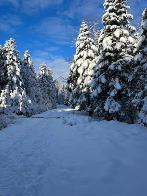 Chalet 3 Etoiles A Gerardmer. Luaran gambar