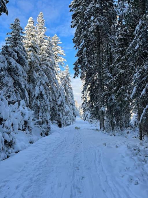 Chalet 3 Etoiles A Gerardmer. Luaran gambar