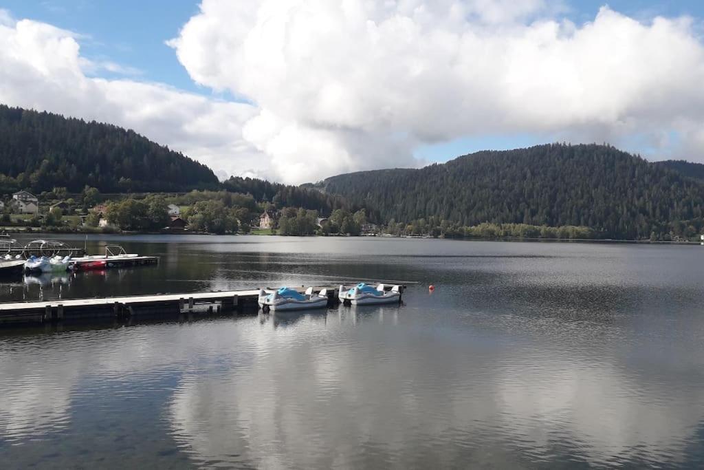 Chalet 3 Etoiles A Gerardmer. Luaran gambar