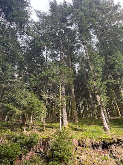 Chalet 3 Etoiles A Gerardmer. Luaran gambar
